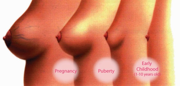 Wachstum der Brüste während der Schwangerschaft